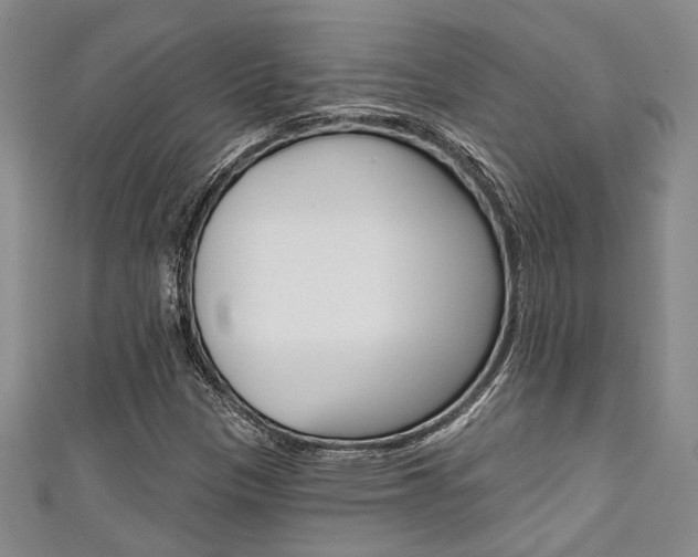 X0000111421305200907131011
