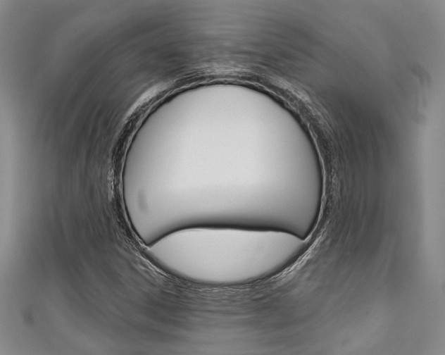 X0000111421306200907131011