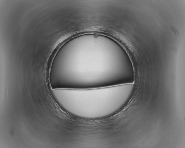X0000111421308200907131011