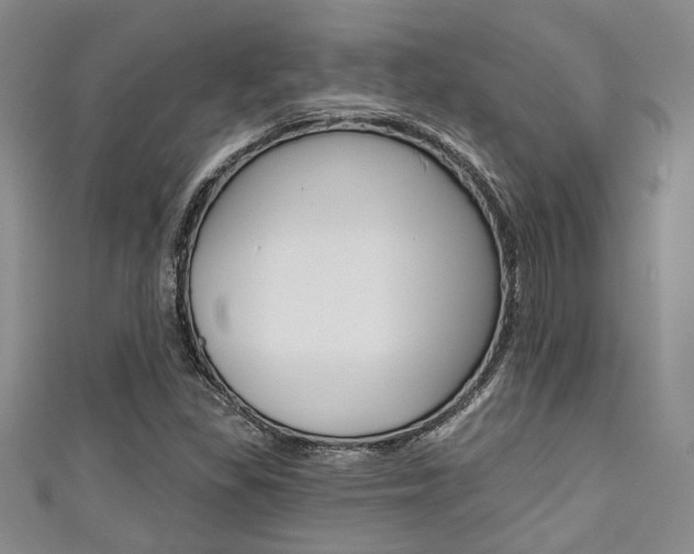X0000111421309200907131011