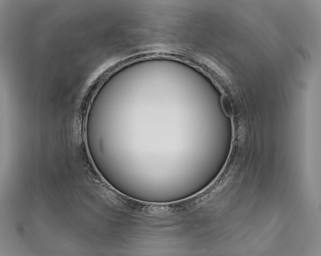 X0000111421310200907131011