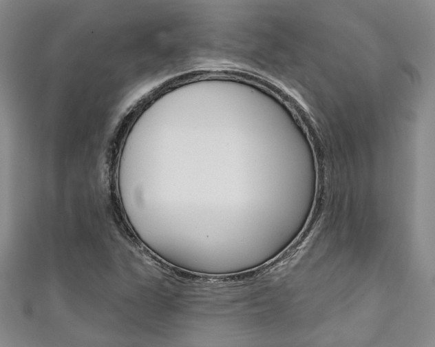 X0000111421311200907131011