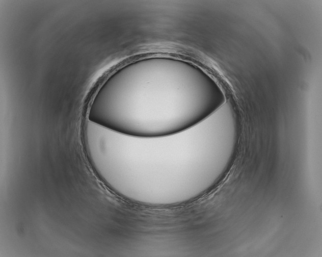 X0000111421312200907131011