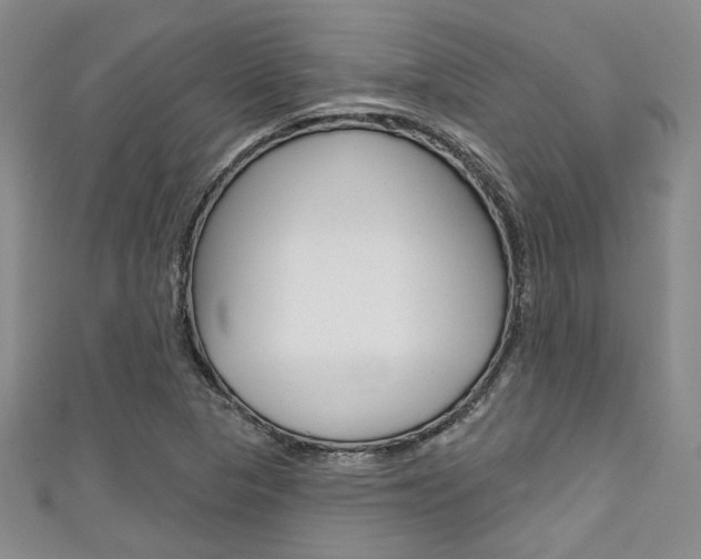 X0000111421313200907131011