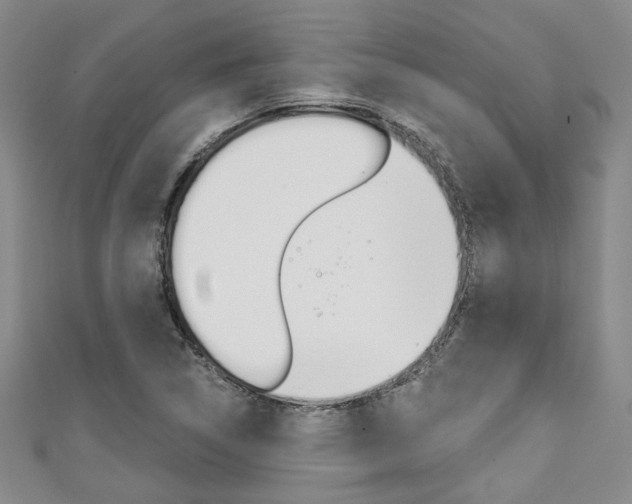 X0000111421314200907131011