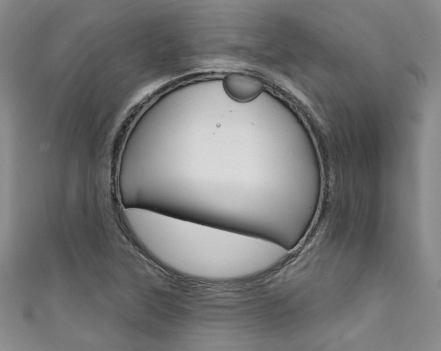X0000111421315200907131011