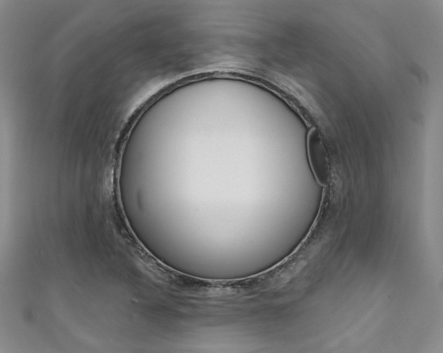 X0000111421316200907131011
