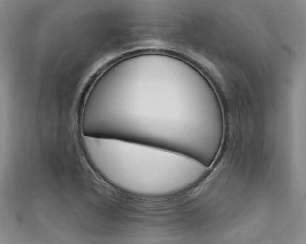 X0000111421318200907131011