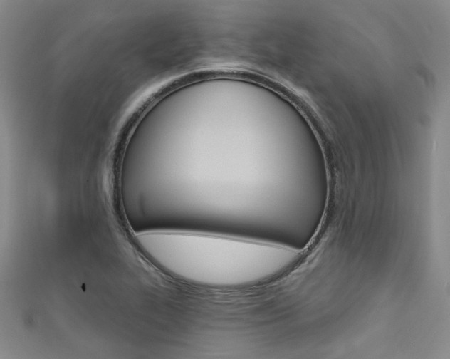 X0000111421319200907131011