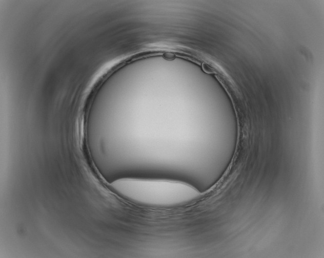 X0000111421323200907131011