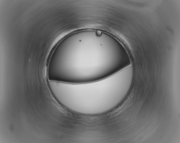 X0000111421324200907131011