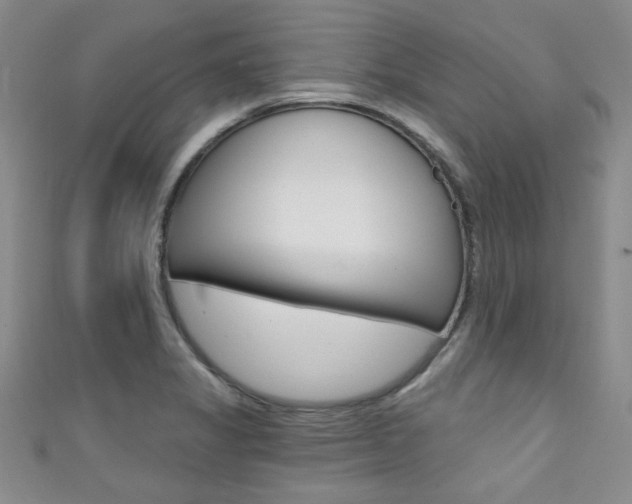 X0000111421325200907131011