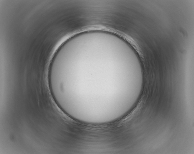 X0000111421326200907131011