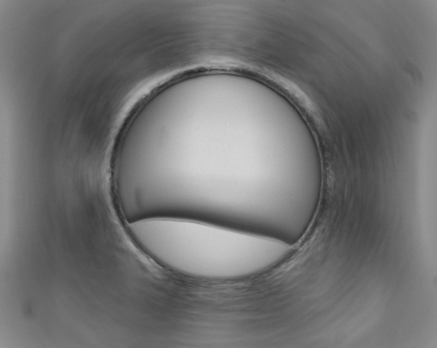 X0000111421327200907131012