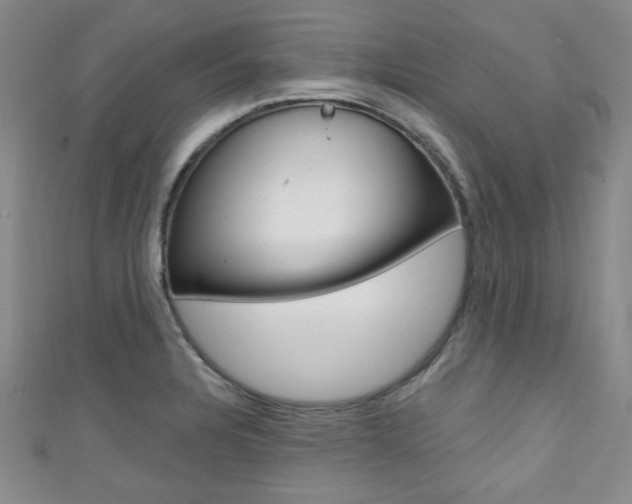 X0000111421328200907131012