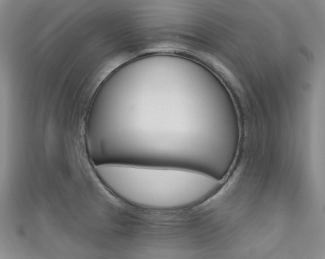 X0000111421329200907131012