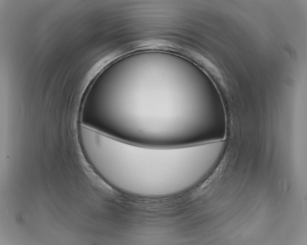 X0000111421330200907131012