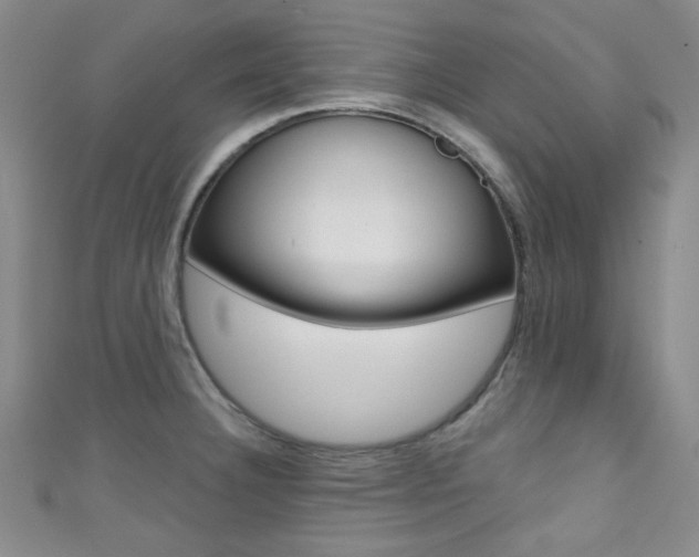 X0000111421332200907131012