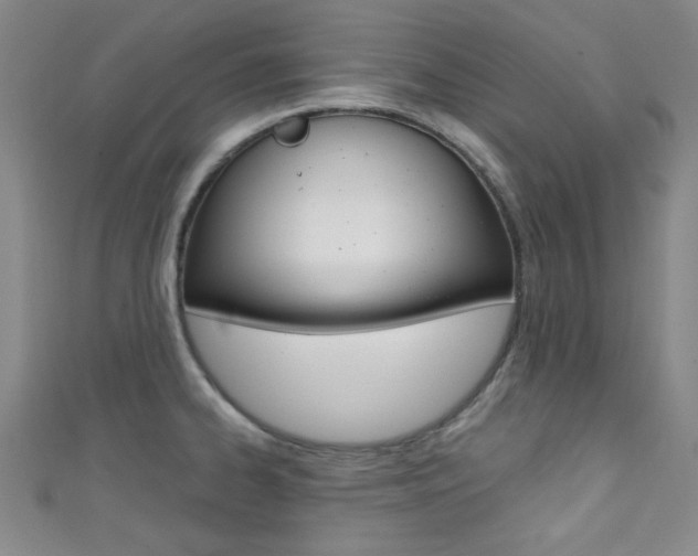 X0000111421334200907131012
