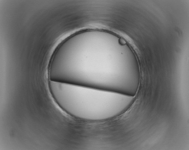 X0000111421335200907131012