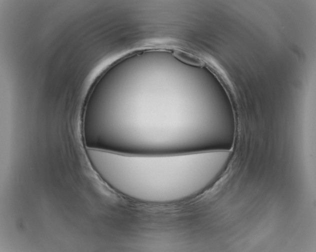 X0000111421336200907131012
