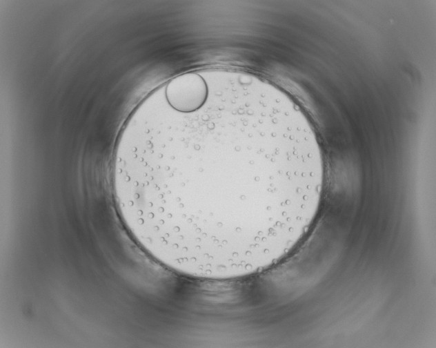 X0000111421338200907131012