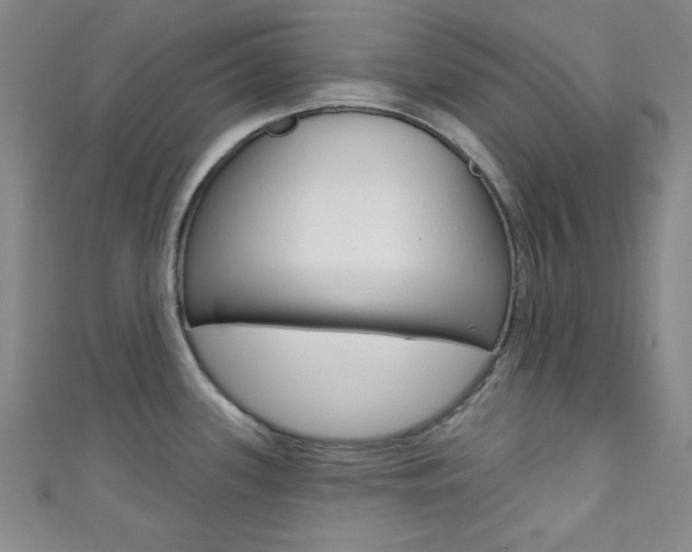 X0000111421339200907131012