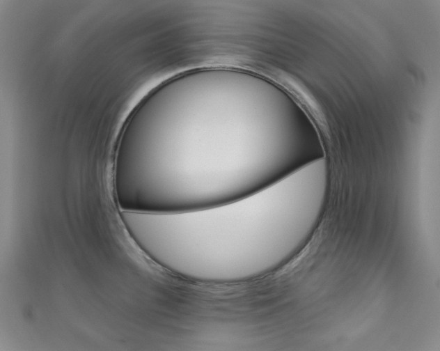 X0000111421340200907131012