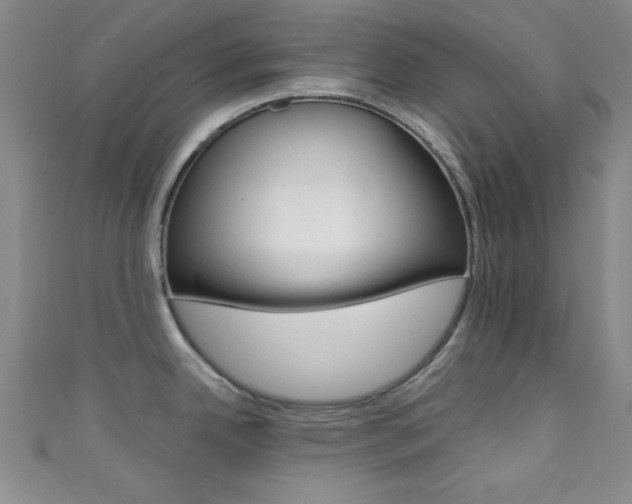 X0000111421342200907131012