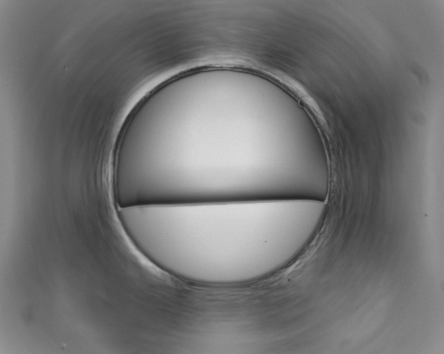 X0000111421343200907131012