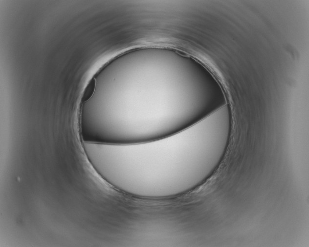 X0000111421344200907131012