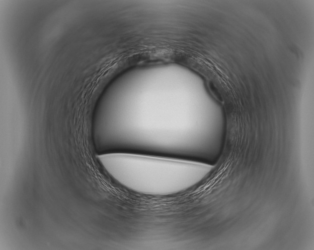 X0000111421345200907131011