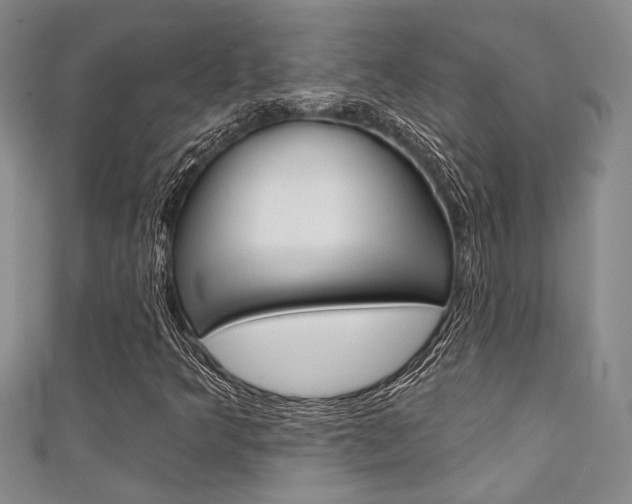 X0000111421349200907131011