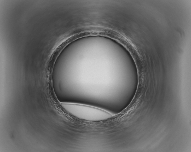 X0000111421352200907131011
