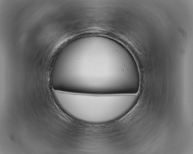 X0000111421355200907131011