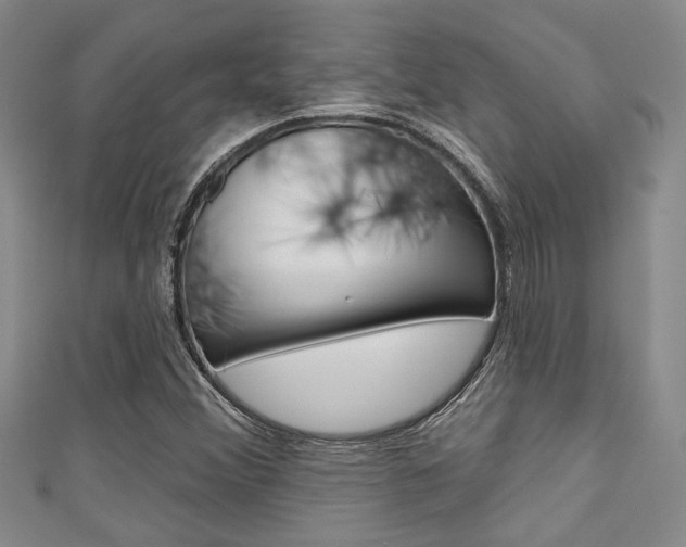 X0000111421356200907131011