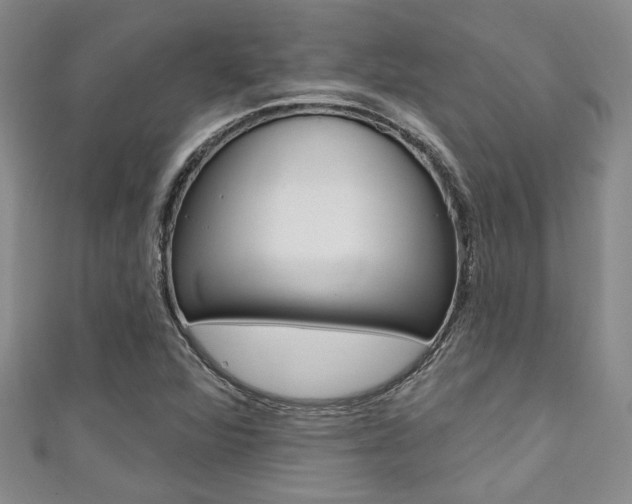 X0000111421360200907131011