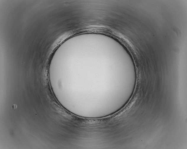 X0000111421362200907131011