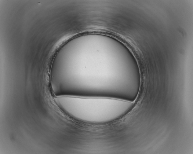 X0000111421363200907131011