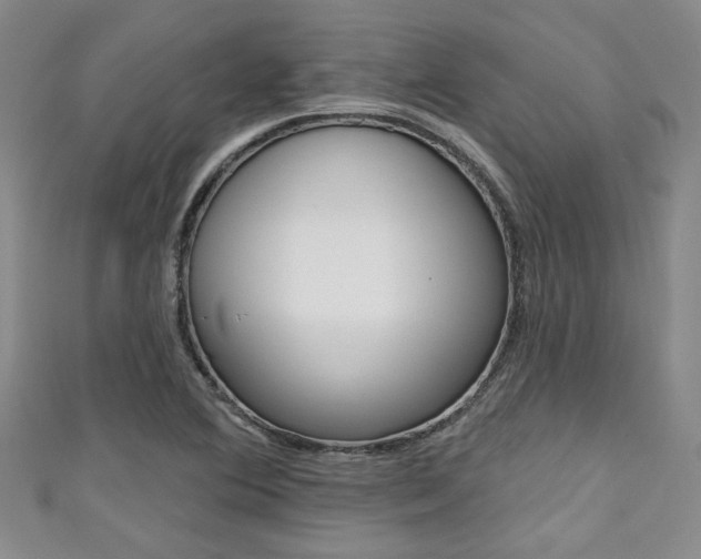 X0000111421364200907131011