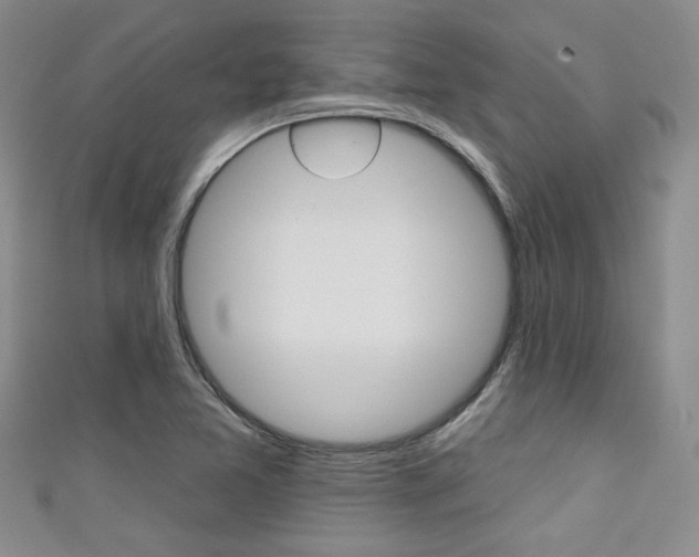 X0000111421365200907131011