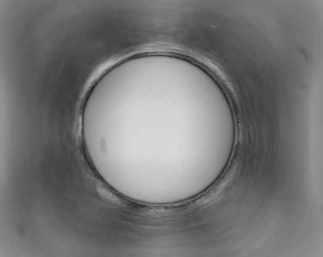 X0000111421366200907131011