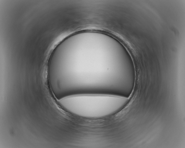 X0000111421367200907131011