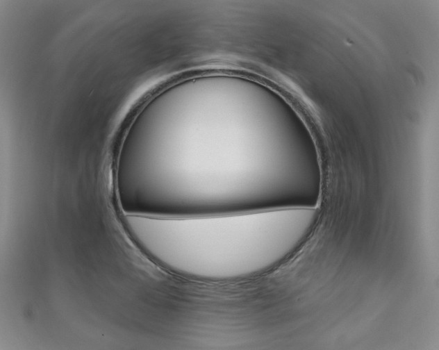 X0000111421368200907131011