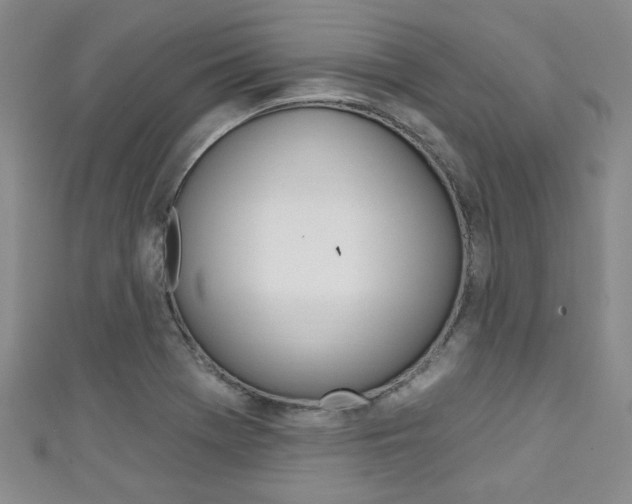 X0000111421369200907131011