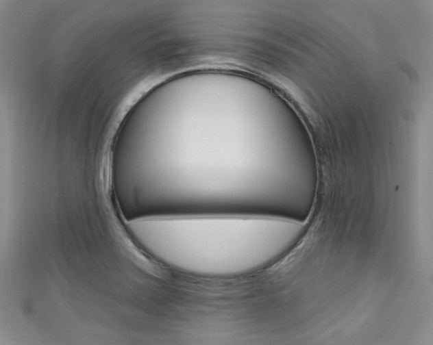 X0000111421371200907131011