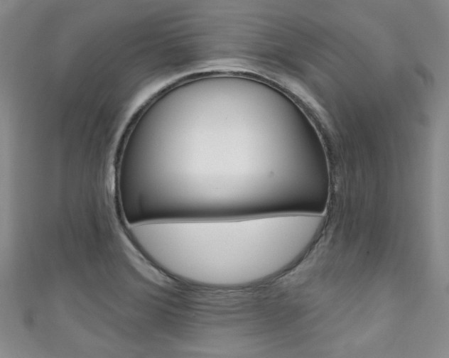 X0000111421372200907131011