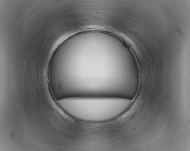 X0000111421373200907131011