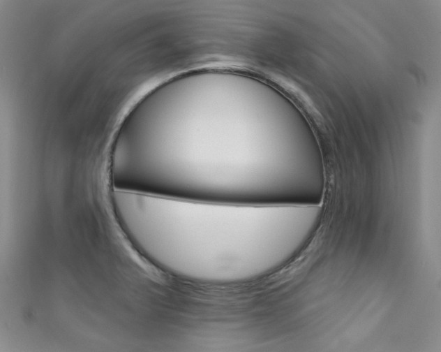 X0000111421375200907131011