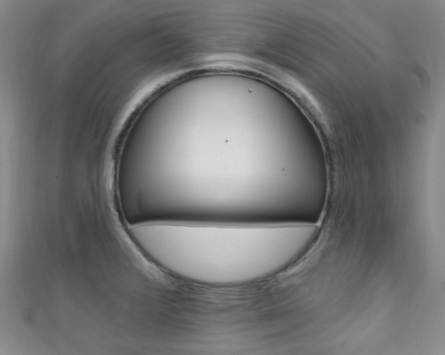 X0000111421376200907131011